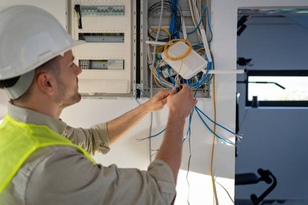 Best Electrical System Inspection  in Alamosa East, CO